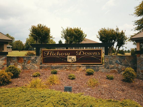 hickory-downs